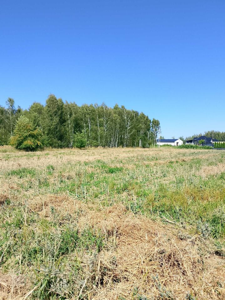 Działka budowlana Lipno. Zdjęcie 1