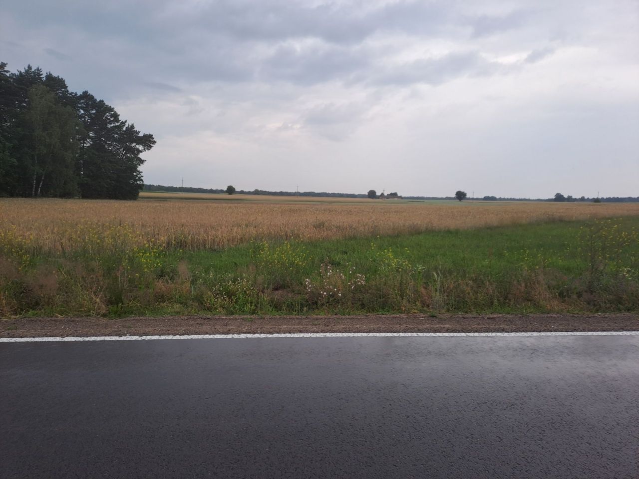 Działka rolno-budowlana Stare Zadybie. Zdjęcie 2