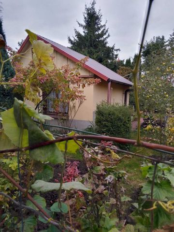 Działka rekreacyjna Szczecin Centrum. Zdjęcie 1