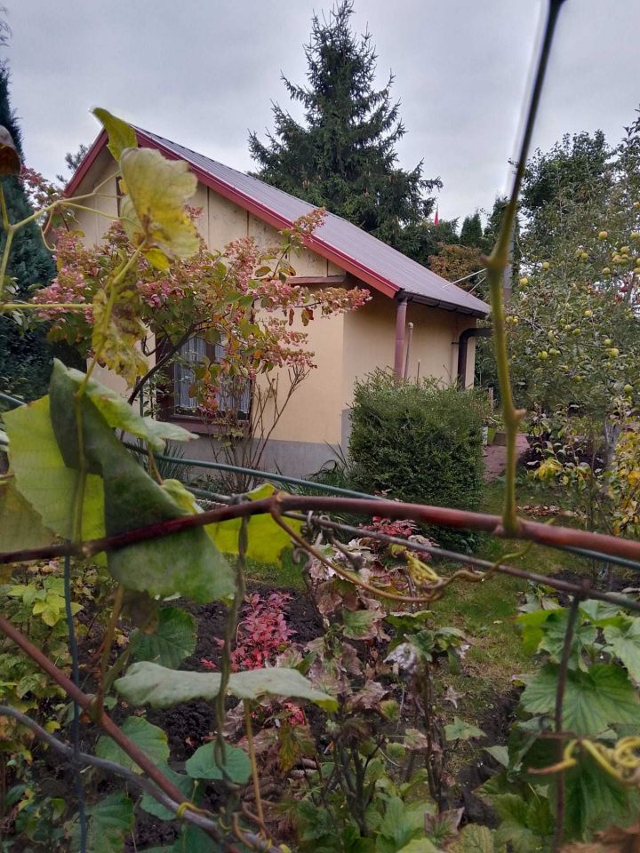 Działka rekreacyjna Szczecin Centrum