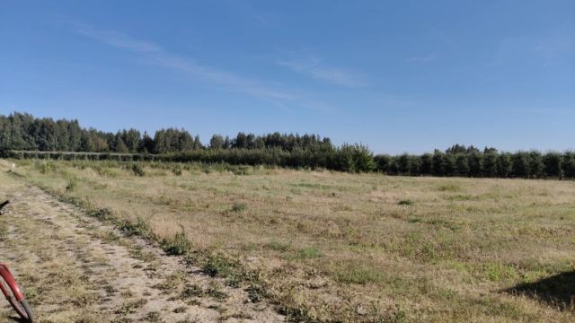 Działka budowlana Barcice Drwalewskie. Zdjęcie 1