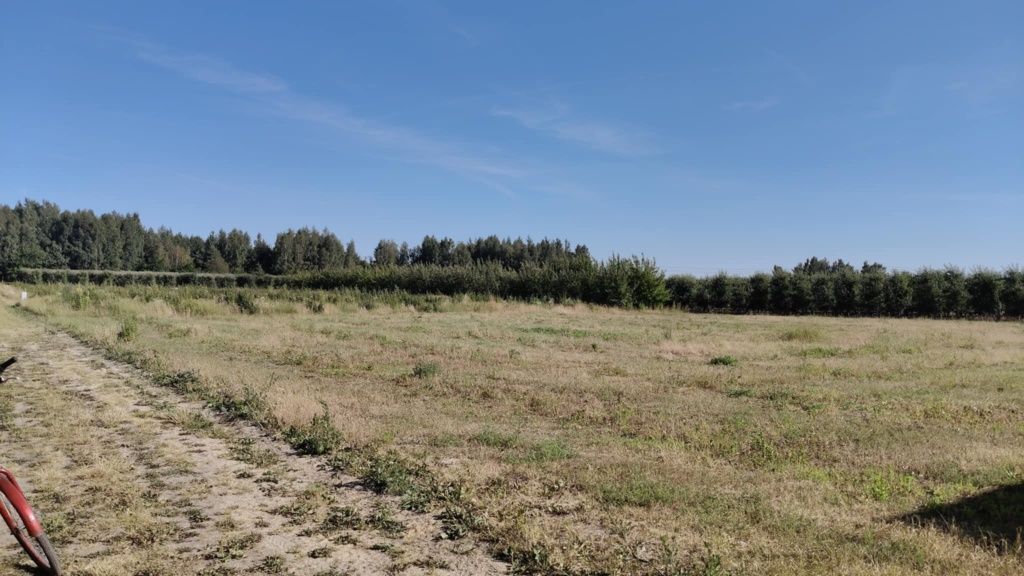 Działka budowlana Barcice Drwalewskie