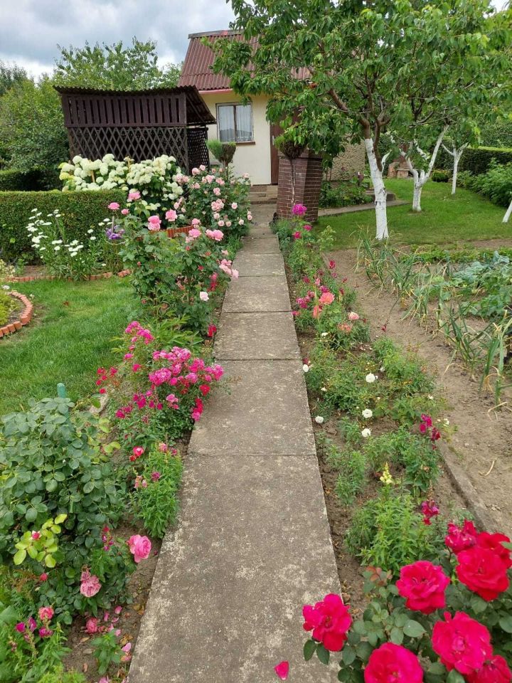 Działka rod Bielawa. Zdjęcie 4