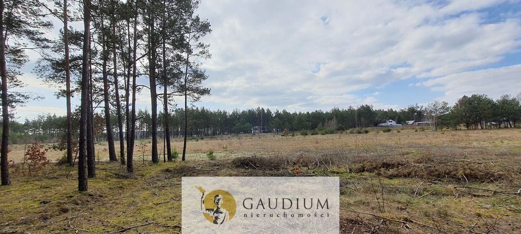 Działka budowlana Czersk, ul. Tucholska. Zdjęcie 10