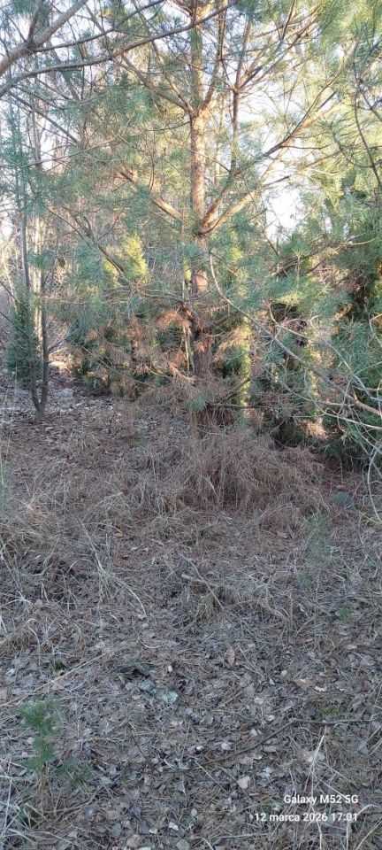 Działka budowlana Bożenkowo. Zdjęcie 2