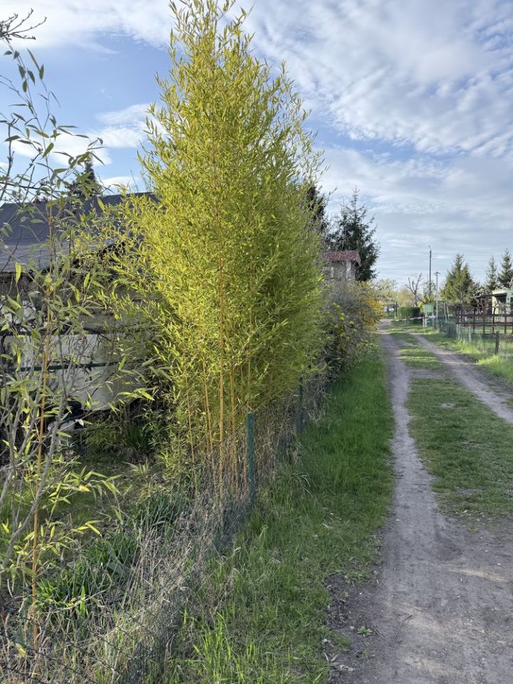 Działka rod Wrocław Fabryczna, ul. Klecińska. Zdjęcie 3