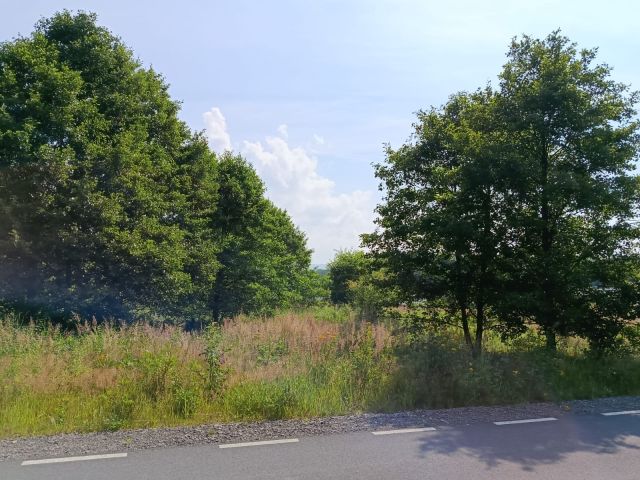 Działka inwestycyjna Buczkowice, ul. Jagodowa. Zdjęcie 2