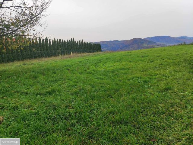 Działka budowlana Dąbrowa. Zdjęcie 1