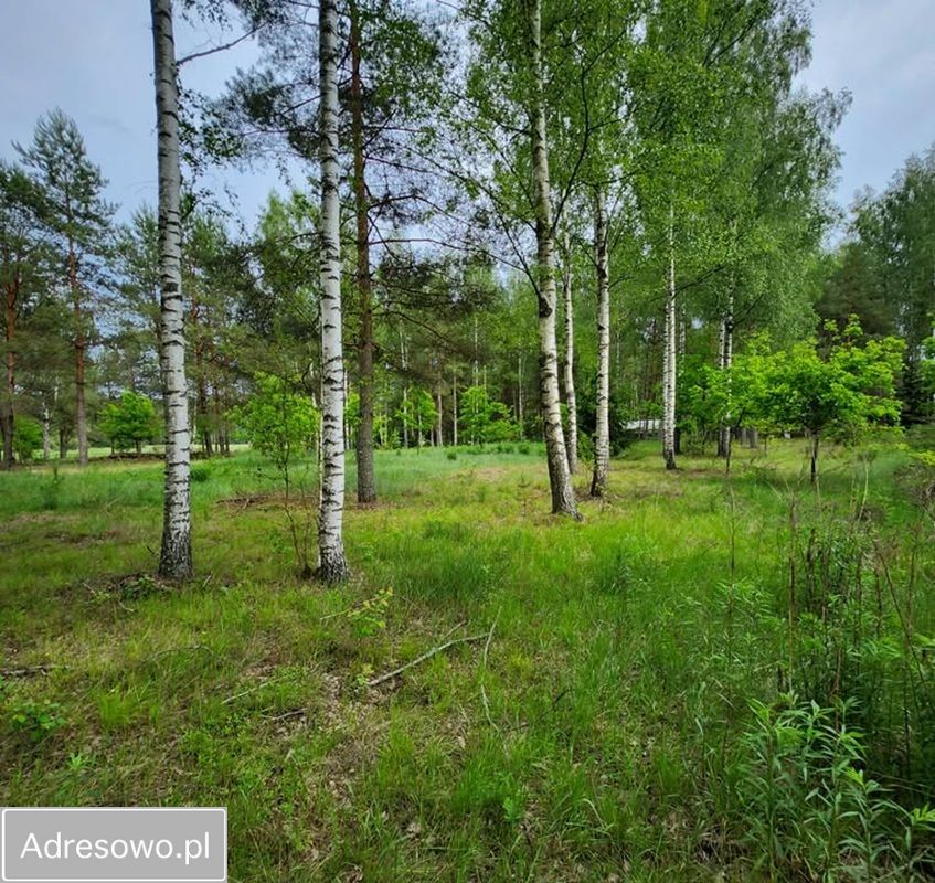 Działka siedliskowa Lipowy Most. Zdjęcie 3