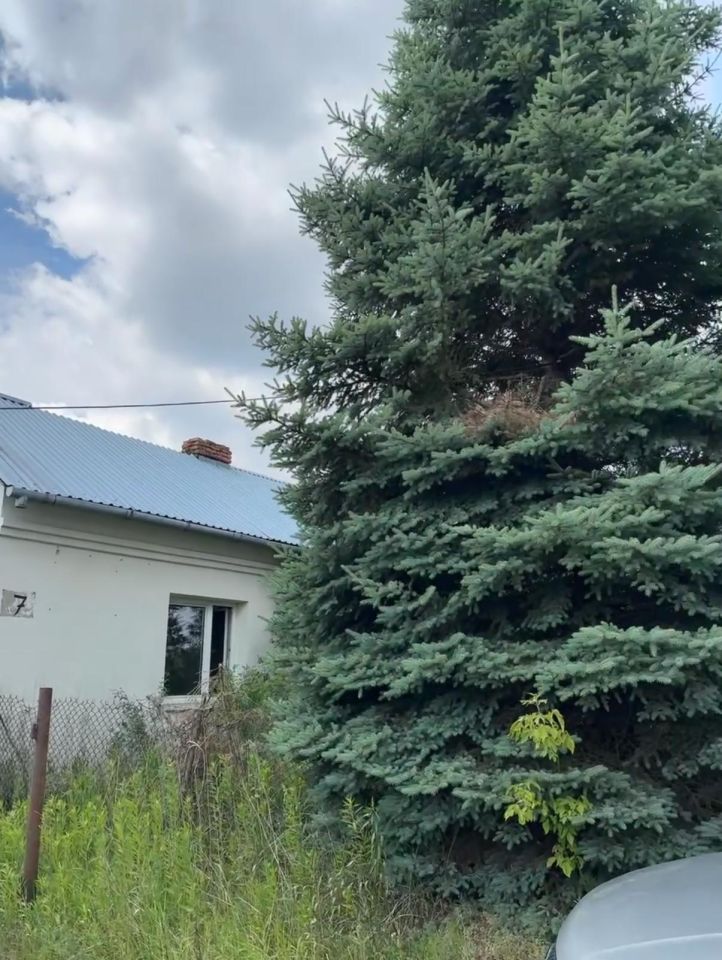 dom wolnostojący, 3 pokoje Cybulice, ul. Borkowa. Zdjęcie 11