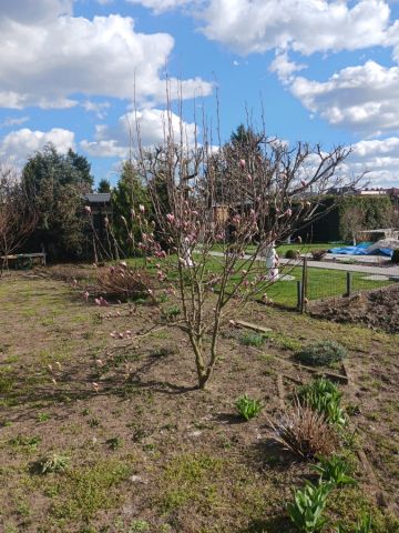 Działka rod Leszno Leszczynko, brak. Zdjęcie 1