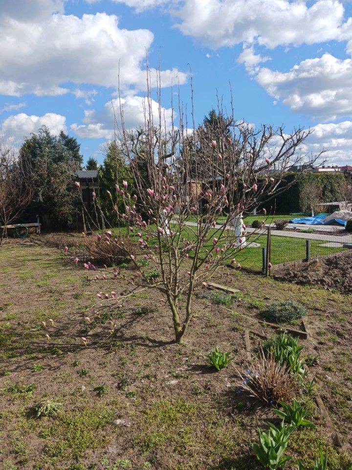 Działka rod Leszno Leszczynko, brak. Zdjęcie 1