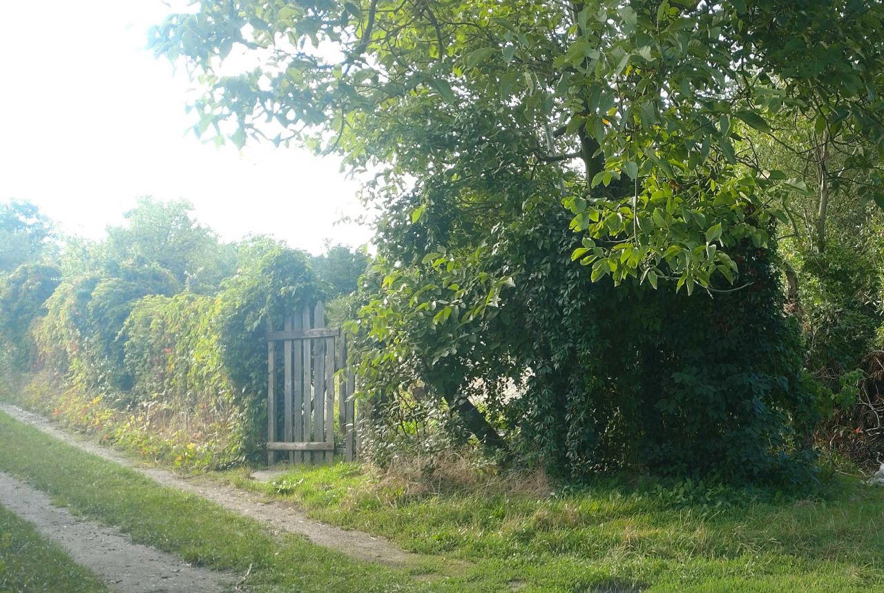 Działka rod Legnica, ul. Działkowa. Zdjęcie 1