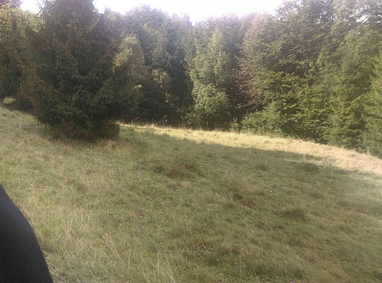 Działka inna Zawoja. Zdjęcie 5