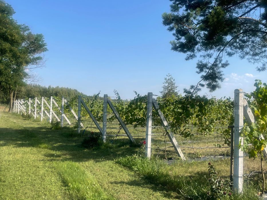 Działka budowlana Huta Jeżewska. Zdjęcie 5