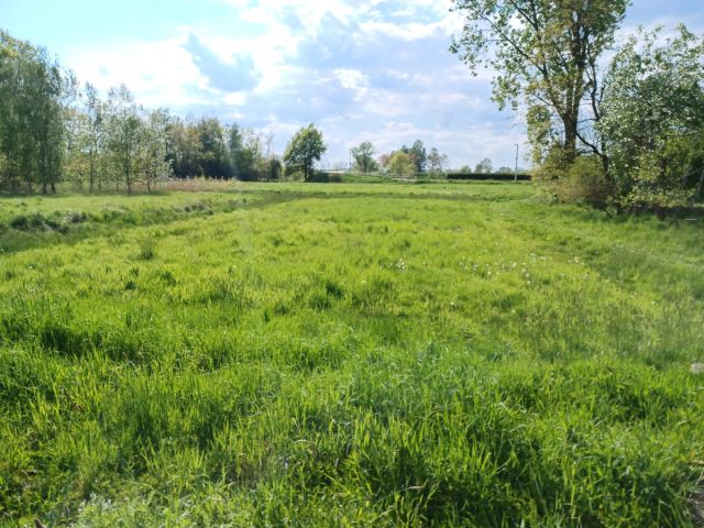 Działka budowlana Kopanka, ul. Prosta. Zdjęcie 1