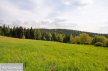 Działka rolno-budowlana Raciechowice. Zdjęcie 1