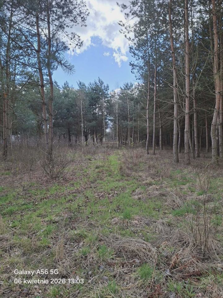 Działka budowlana Nieborów. Zdjęcie 5