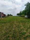 Działka siedliskowa Gierczyce Niwa, Gierczyce. Zdjęcie 4