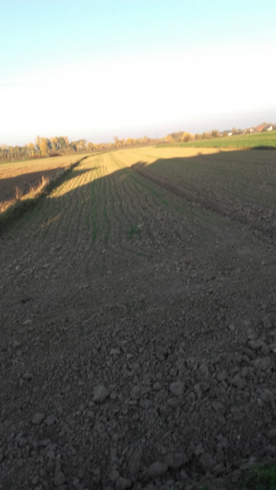 Działka rolno-budowlana Podleszany. Zdjęcie 8