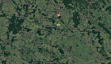 Działka leśna Mława
