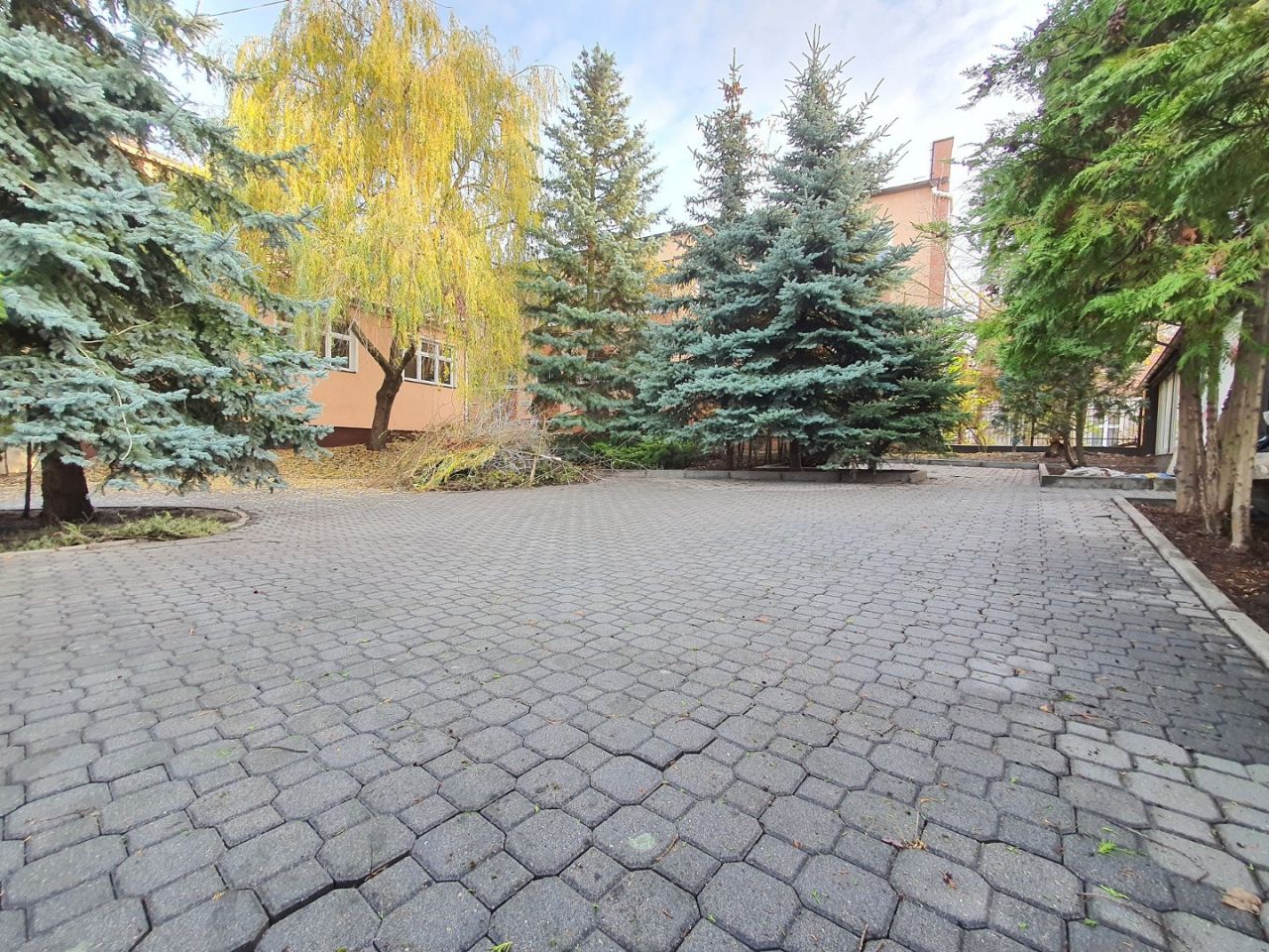 Lokal Świecie, ul. Mickiewicza. Zdjęcie 5