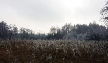 Działka na sprzedaż bez pośredników          
          
            Siennica - Więcej