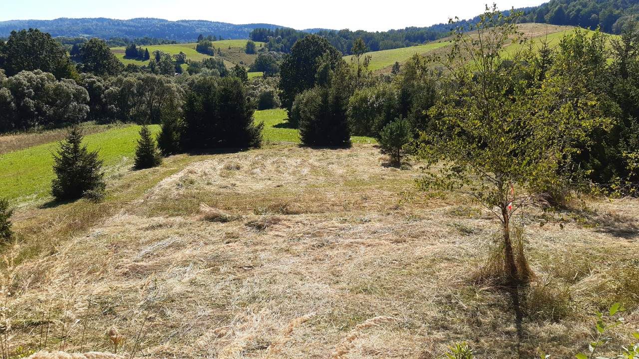 Działka rolno-budowlana Hoczew. Zdjęcie 14