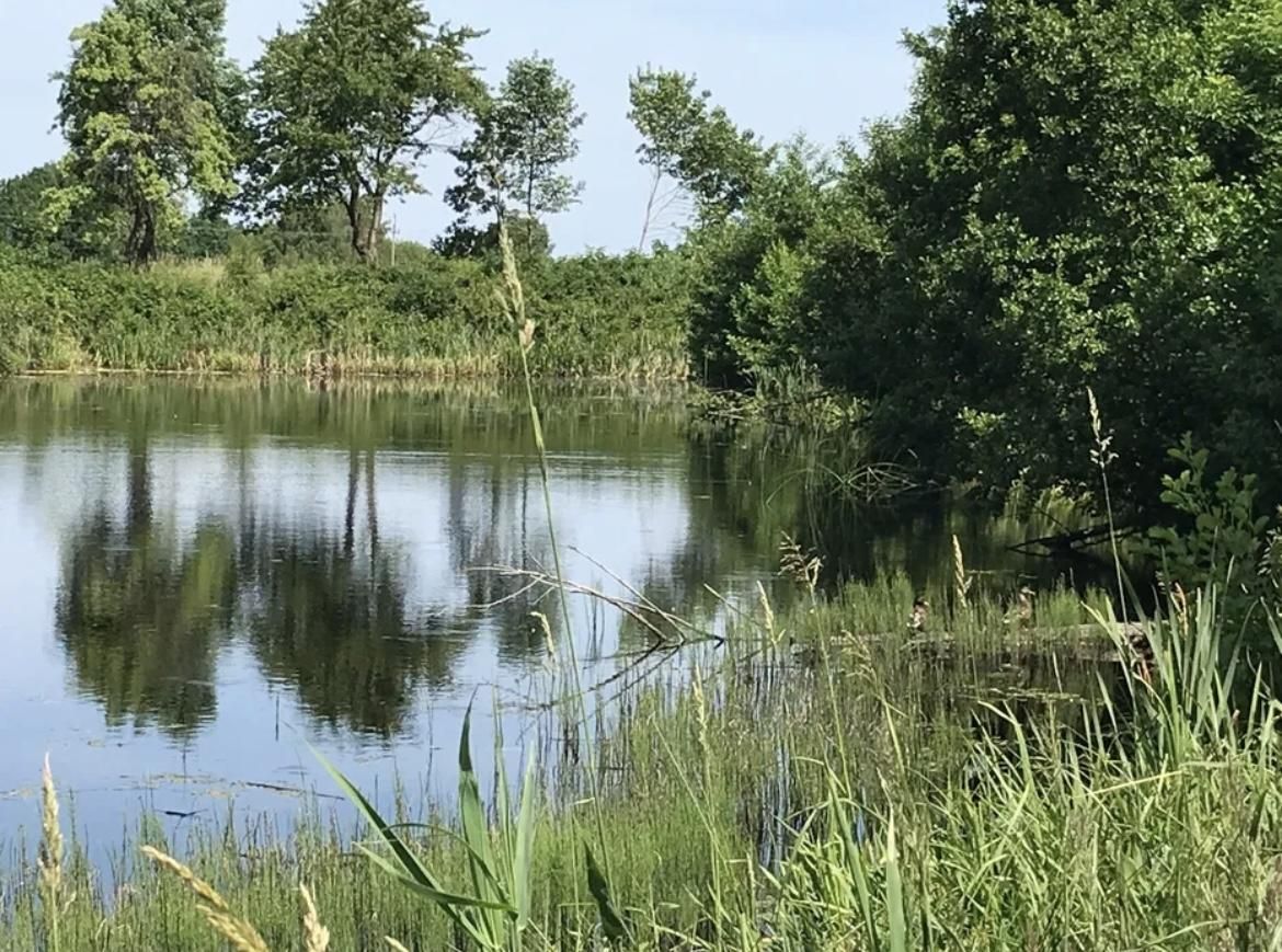 Działka rolno-budowlana Bałamątek, ul. Spacerowa. Zdjęcie 6