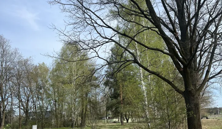 Działka budowlana Milanówek Polesie, ul. Marii Konopnickiej