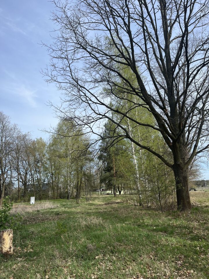 Działka budowlana Milanówek Polesie, ul. Marii Konopnickiej