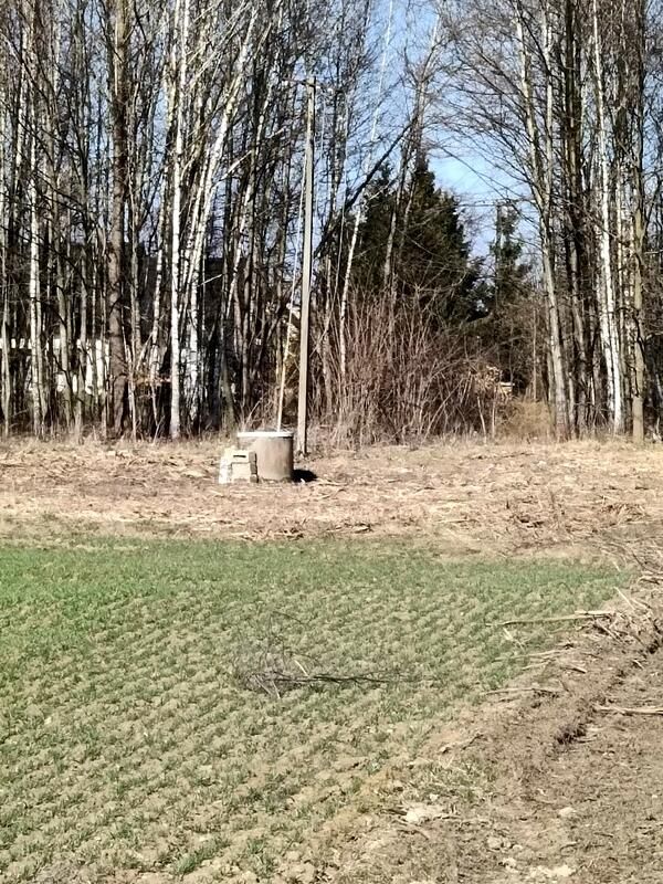 Działka budowlana Świerzowa Polska. Zdjęcie 12