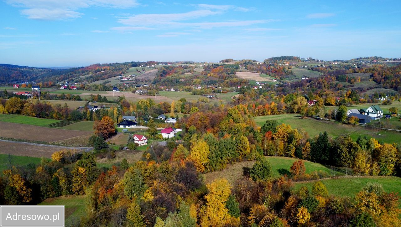 Działka budowlana Sadek. Zdjęcie 11