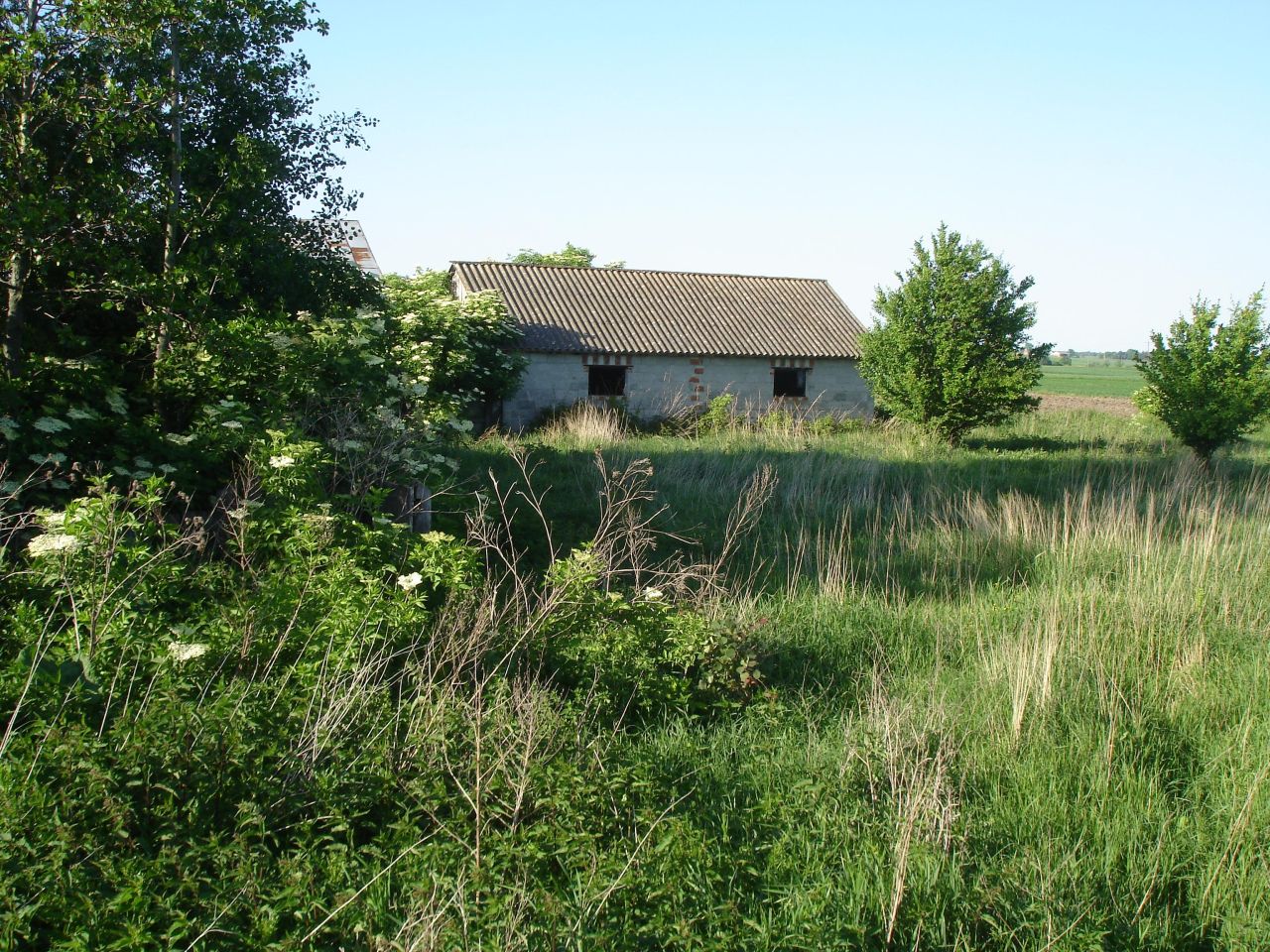 dom wolnostojący, 4 pokoje Kułakowice Drugie. Zdjęcie 8