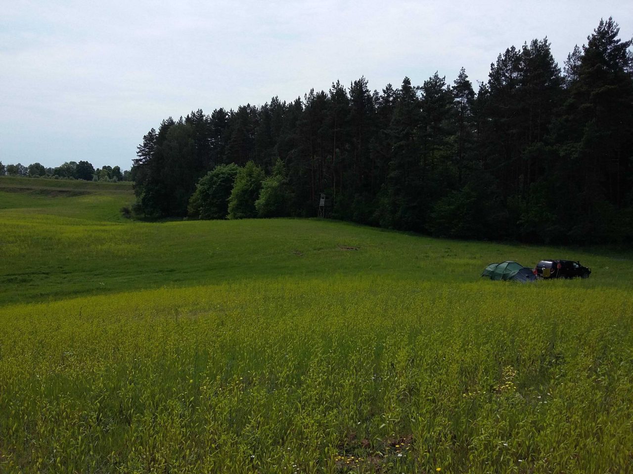 Działka siedliskowa Ramsowo. Zdjęcie 3