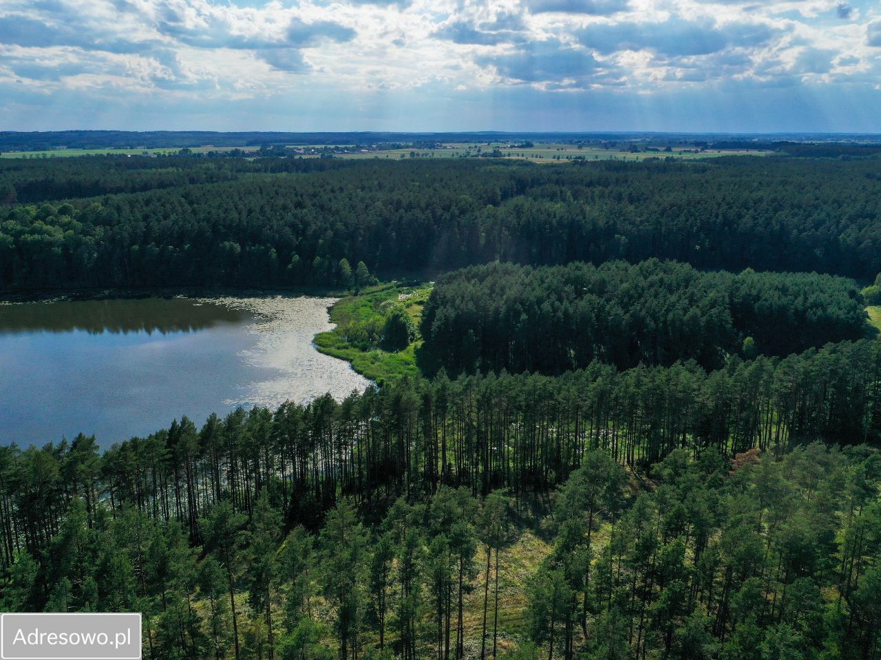 Działka rolna Jeleniowo. Zdjęcie 9