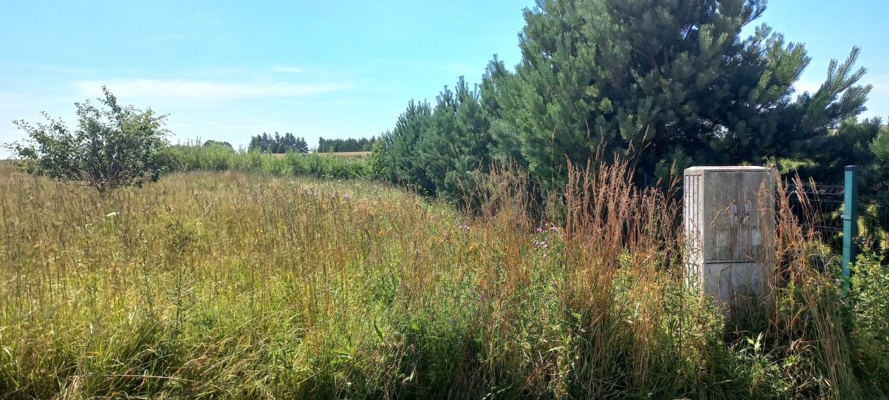 Działka rolno-budowlana Gąski, ul. Błękitna. Zdjęcie 6