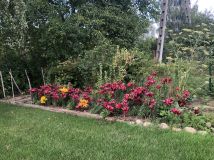 Działka rod Warszawa Mokotów, ul. Łucznicza