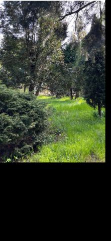 Działka budowlana Legionowo Centrum, ul. Fryderyka Chopina. Zdjęcie 1