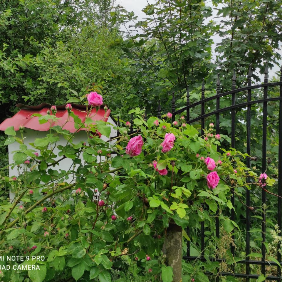 dom wolnostojący, 4 pokoje Sobanice. Zdjęcie 18