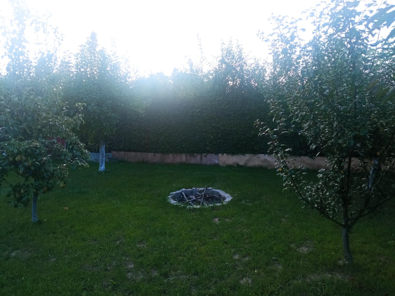 Działka rod Tczew Suchostrzygi, ul. Działkowa. Zdjęcie 5