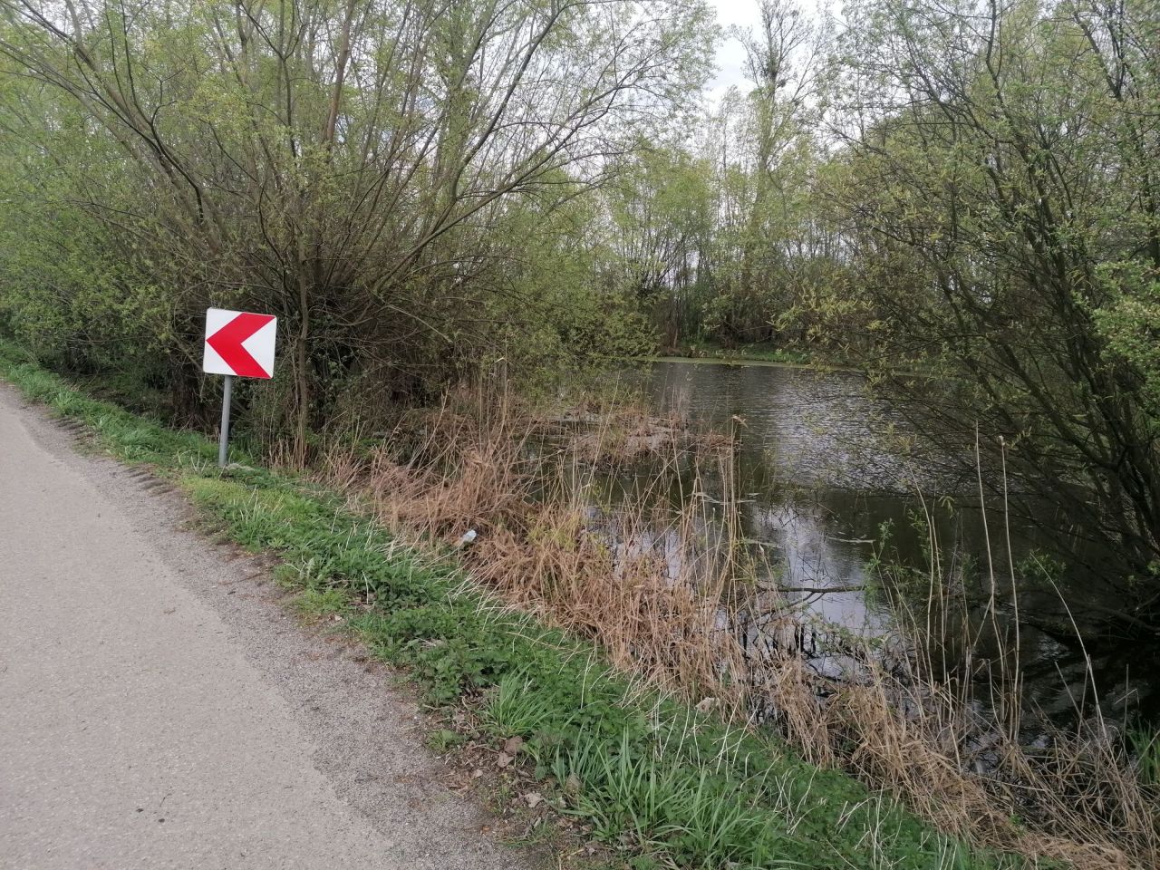 Działka budowlana Wojków. Zdjęcie 5