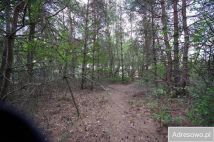 Działka budowlana Musuły, ul. Zdrojowa. Zdjęcie 1