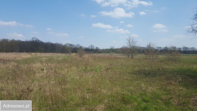 Działka inwestycyjna Wrocław Pracze Odrzańskie. Zdjęcie 1