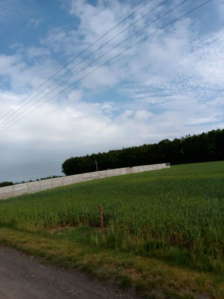 Działka budowlana Kruczyn. Zdjęcie 3