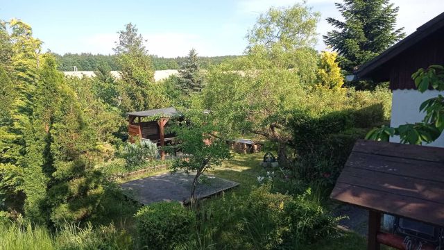 Działka rekreacyjna Lębork, ul. Kolonia. Zdjęcie 1