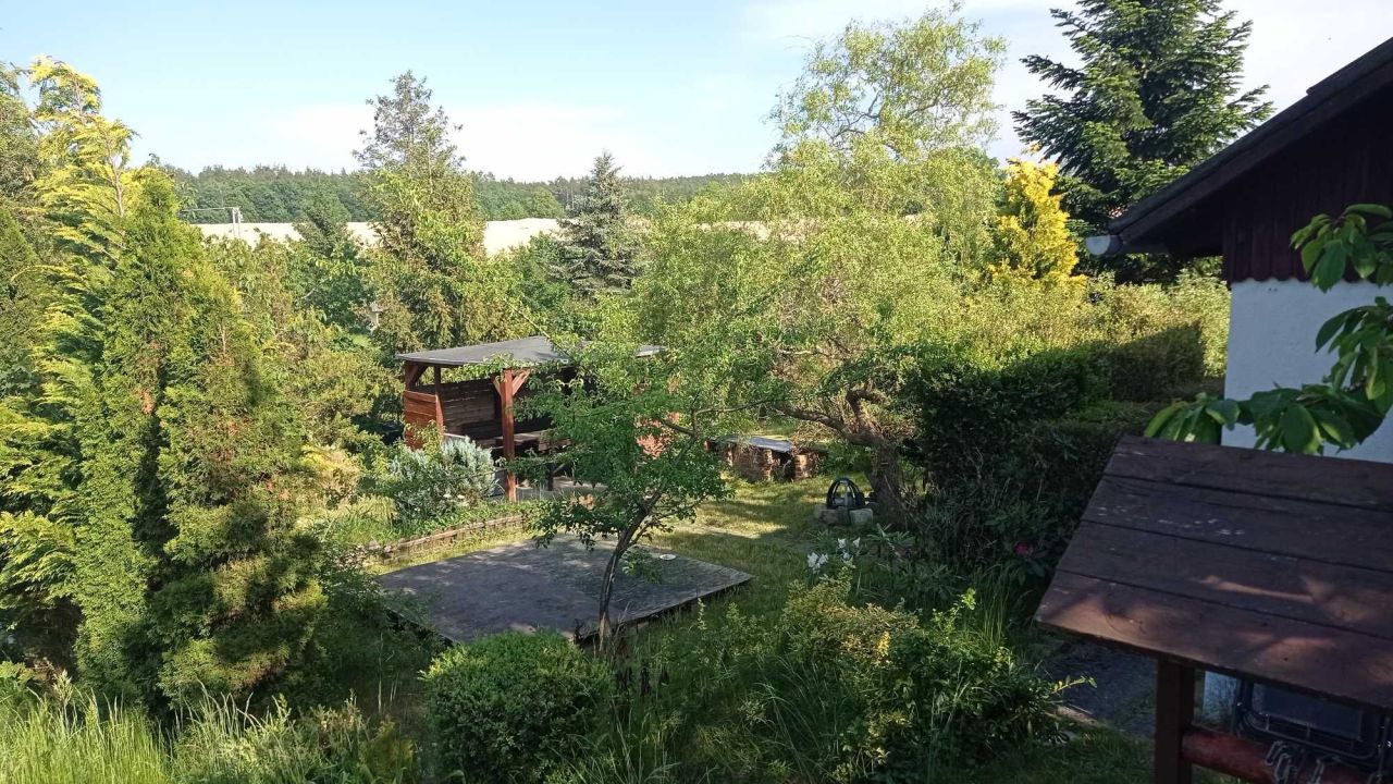 Działka rekreacyjna Lębork, ul. Kolonia. Zdjęcie 1