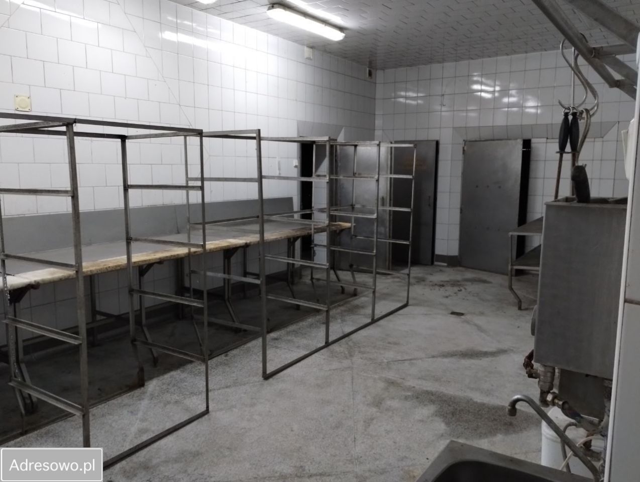 Lokal Dąbrowa-Dzięciel. Zdjęcie 7