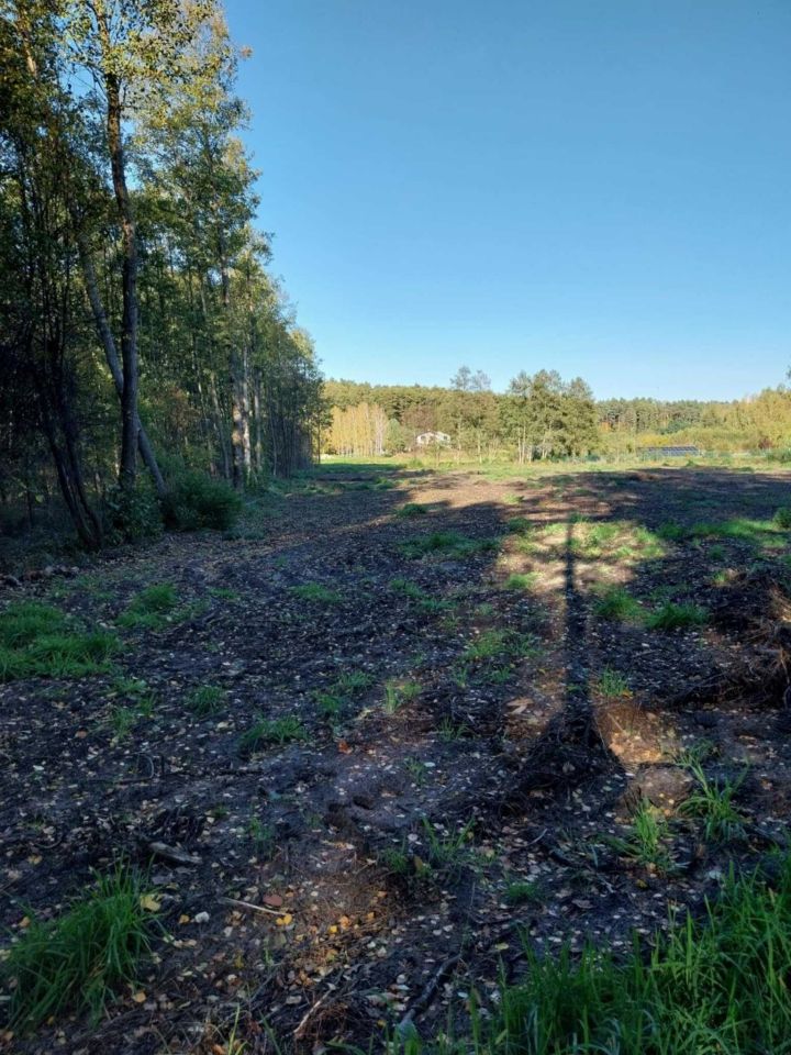 Działka rolno-budowlana Beleń. Zdjęcie 3