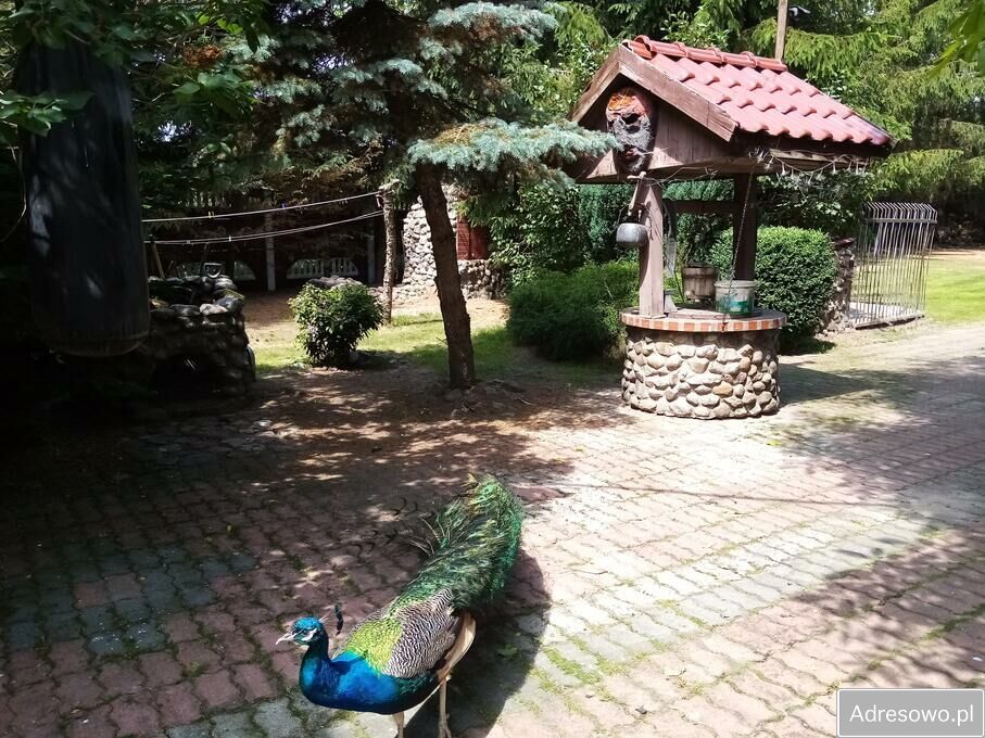 siedlisko, 5 pokoi Żeleźno. Zdjęcie 6